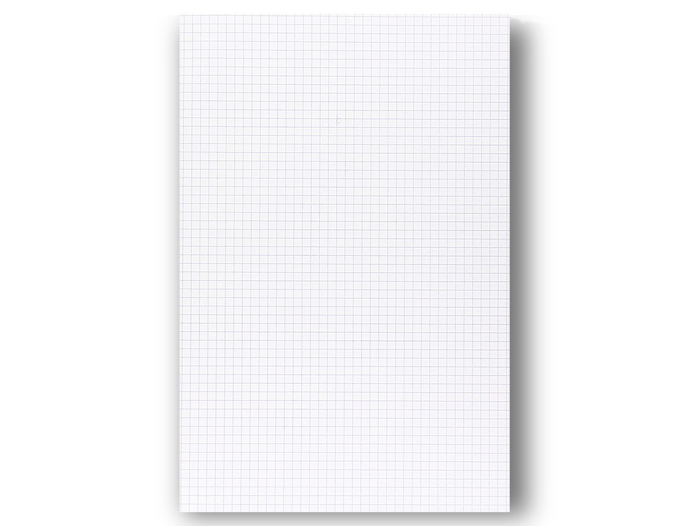 COPIE DOUBLE CLAIREFONTAINE A4 21X29,7CM PAPIER VELIN VELOUTE 300 PAGES 90G 5X5MM PERFOREES SOUS FILM COLORIS BLANC