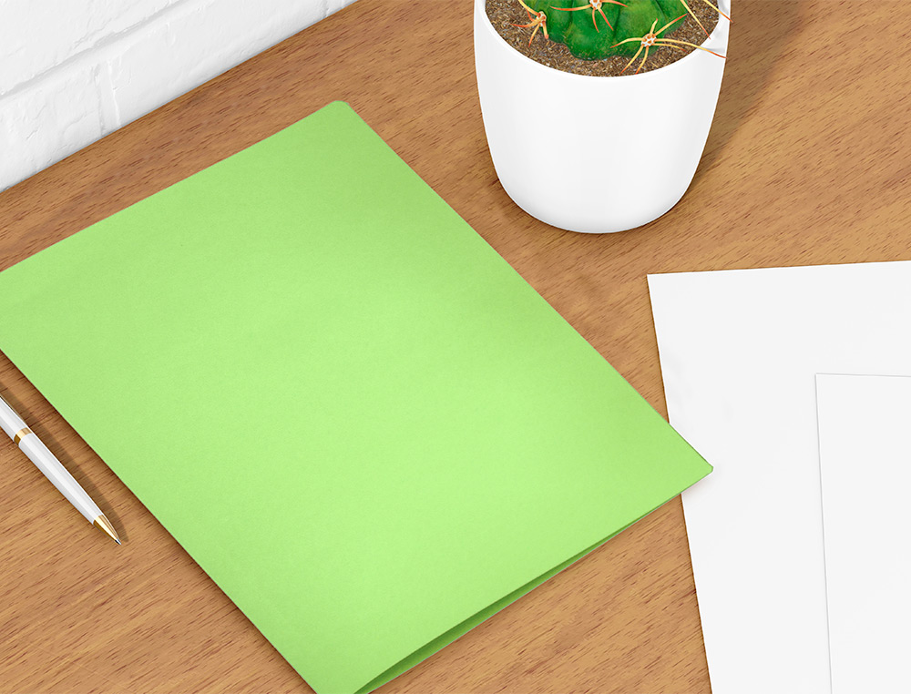 SOUS-CHEMISE LIDERPAPEL PAPIER CARTONN 180G 310X230MM DOCUMENT A4 210X297MM COLORIS PASTEL VERT INTENSE