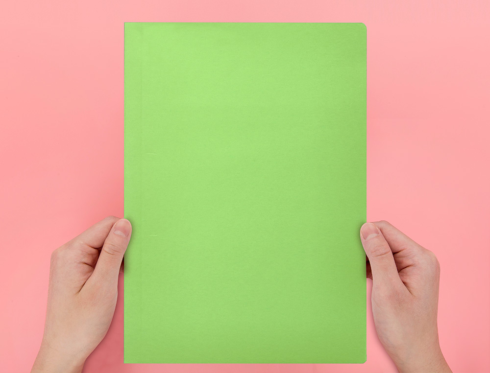 SOUS-CHEMISE LIDERPAPEL PAPIER CARTONN 180G 310X230MM DOCUMENT A4 210X297MM COLORIS PASTEL VERT INTENSE