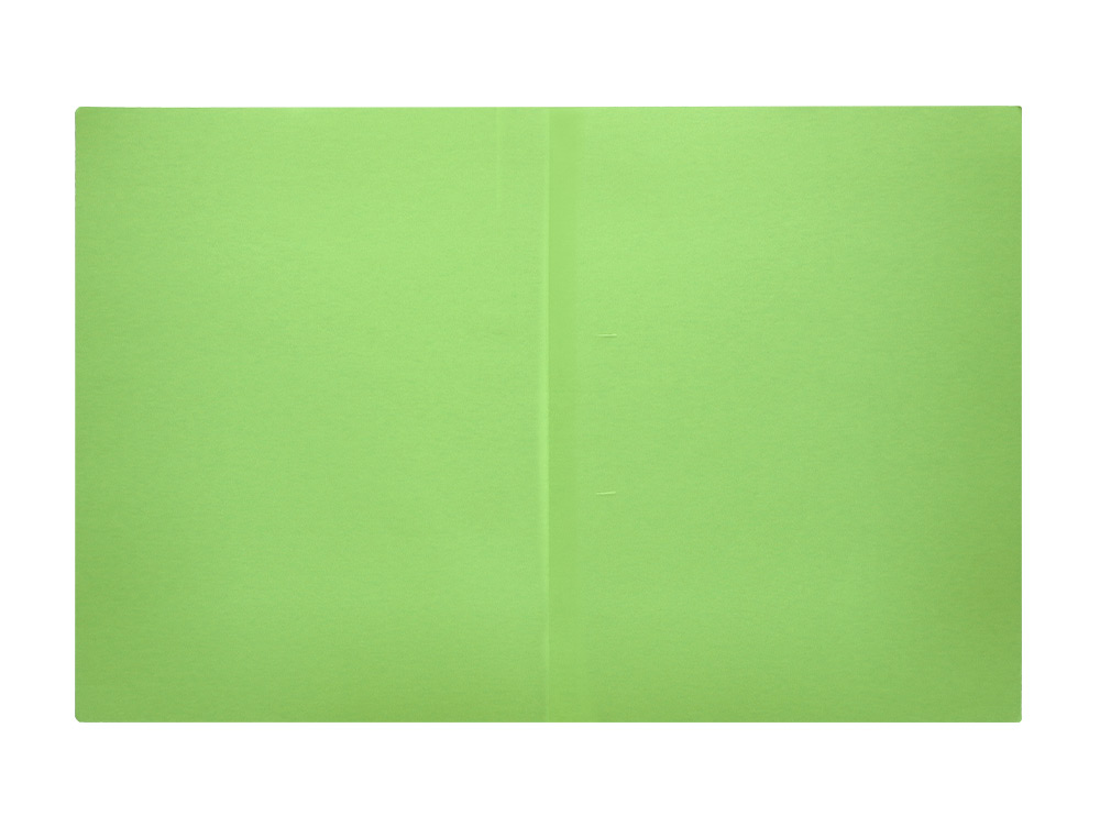 SOUS-CHEMISE LIDERPAPEL PAPIER CARTONN 180G 310X230MM DOCUMENT A4 210X297MM COLORIS PASTEL VERT INTENSE