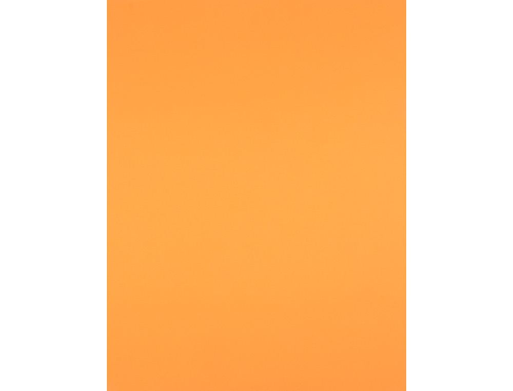 PAPIER CARTONNE LIDERPAPEL 50X65CM 180GR COLORIS NECTARINE
