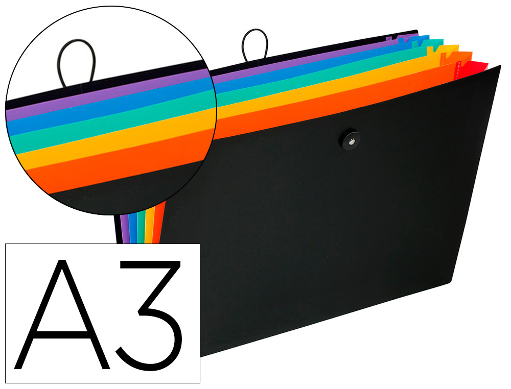 TRIEUR VIQUEL RAINBOW CLASS 6 COMPARTIMENTS POLYPROPYLENE   A3 47X32CM COLORIS NOIR