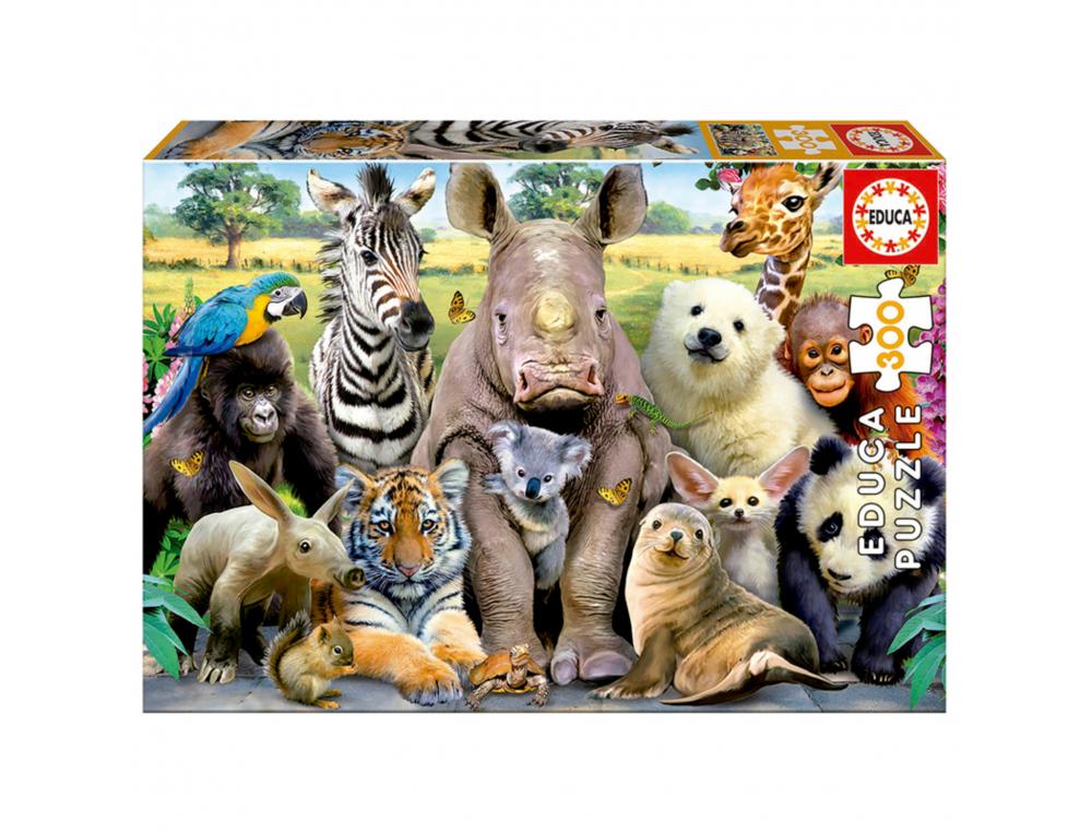 PUZZLES CARTON 300 PIECES EDUCA LA PHOTO DE CLASSE 300  PIECES
